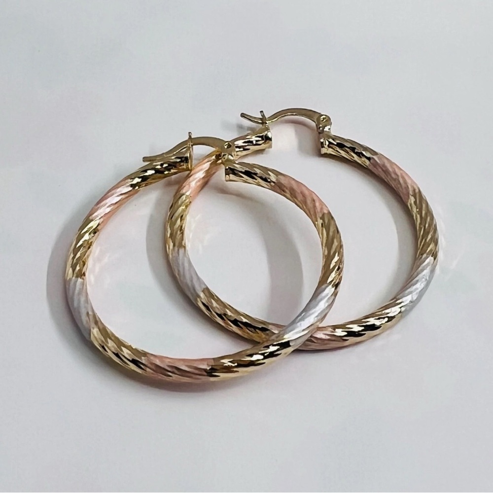 Gold and Silver Tone Hoop Earrings (NWOT)